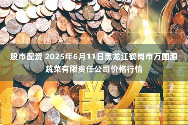 股市配资 2025年6月11日黑龙江鹤岗市万圃源蔬菜有限责任公司价格行情