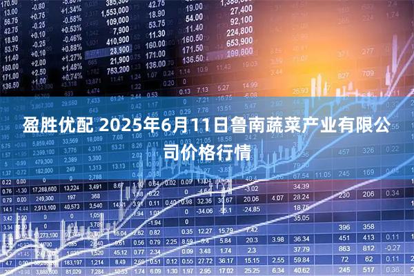 盈胜优配 2025年6月11日鲁南蔬菜产业有限公司价格行情