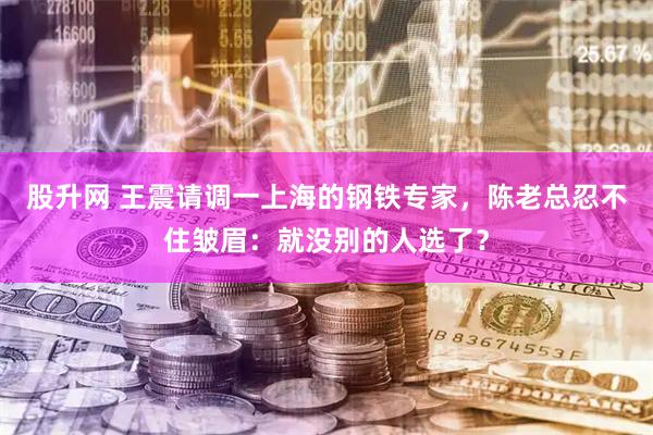 股升网 王震请调一上海的钢铁专家，陈老总忍不住皱眉：就没别的人选了？